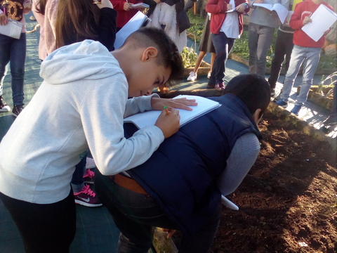 Aula de campo da disciplina de ciências Naturais (5ºano) sobre solo em janeiro